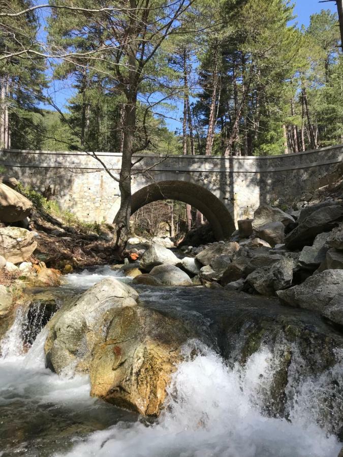 Maison Entiere Tout Equipe 4 Chambre Possibilite De 10 Couchage Venaco Centre Corse Kültér fotó